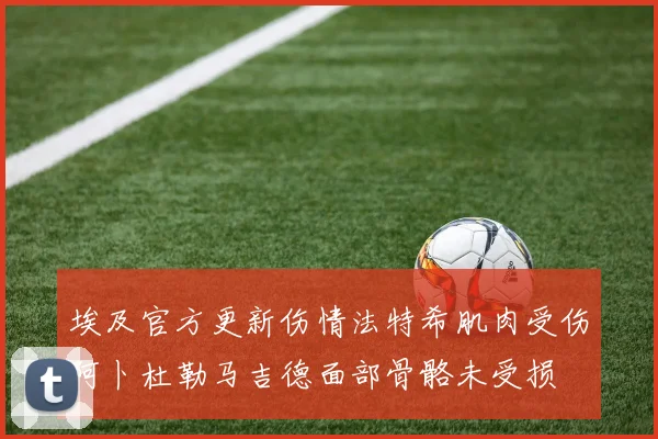 埃及官方更新伤情法特希肌肉受伤阿卜杜勒马吉德面部骨骼未受损