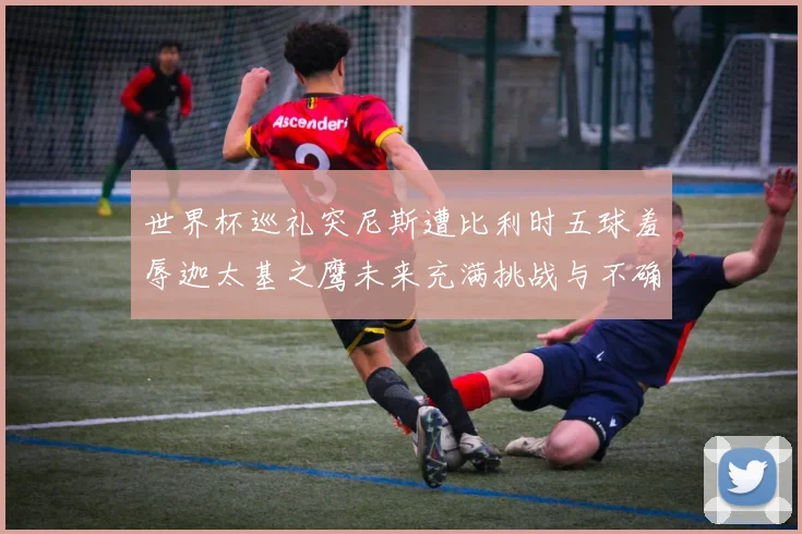 世界杯巡礼突尼斯遭比利时五球羞辱迦太基之鹰未来充满挑战与不确定性