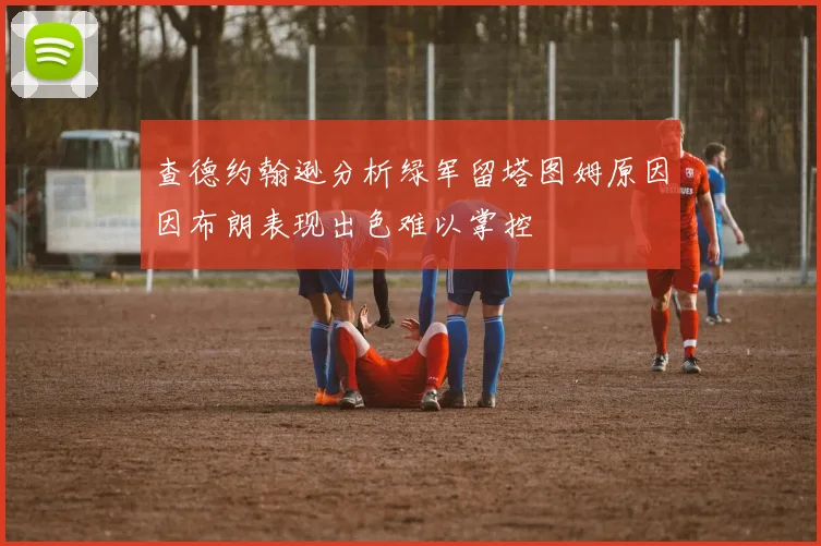 查德约翰逊分析绿军留塔图姆原因因布朗表现出色难以掌控